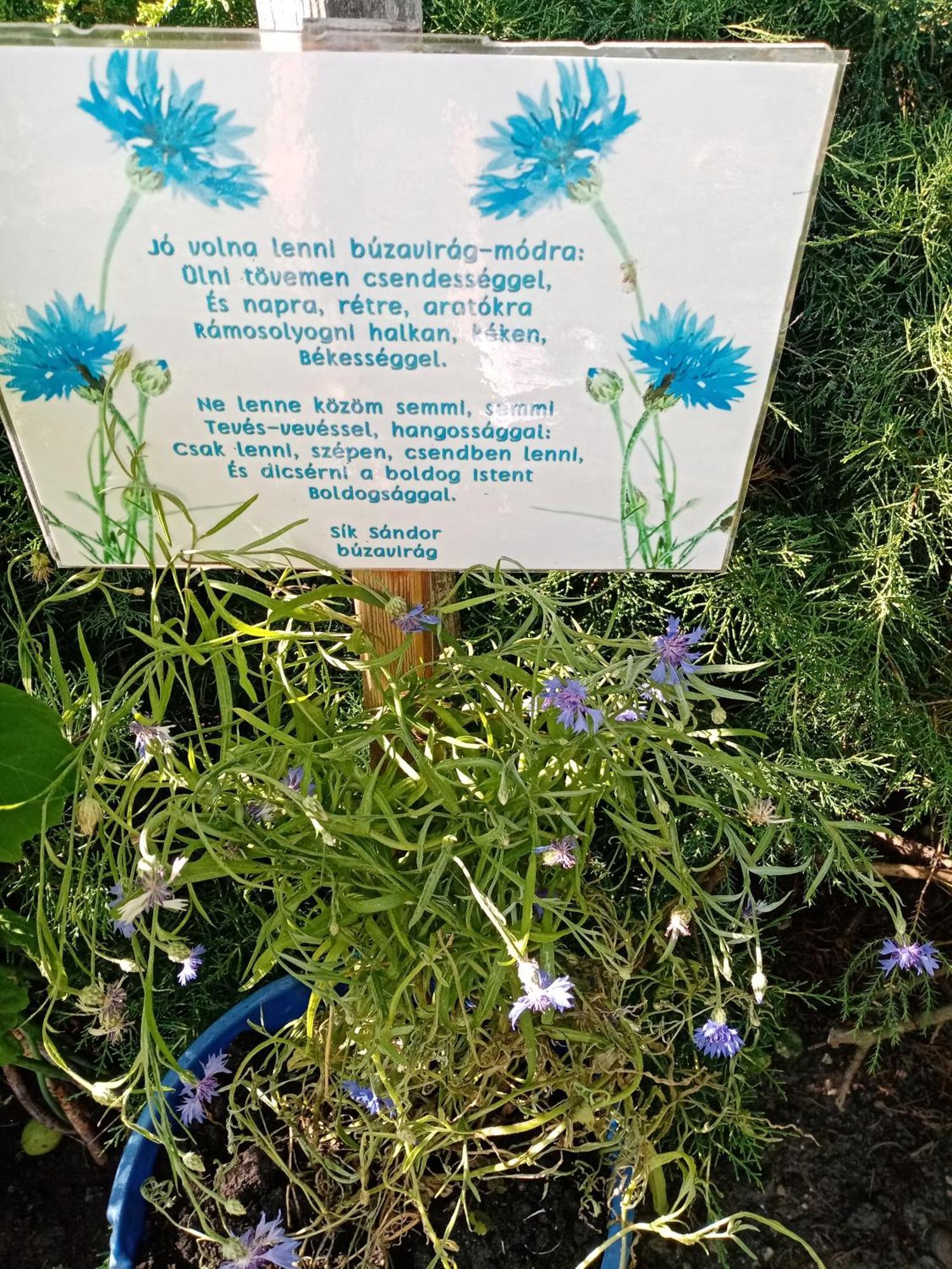 Margaret Apartman Egerszalok Luaran gambar