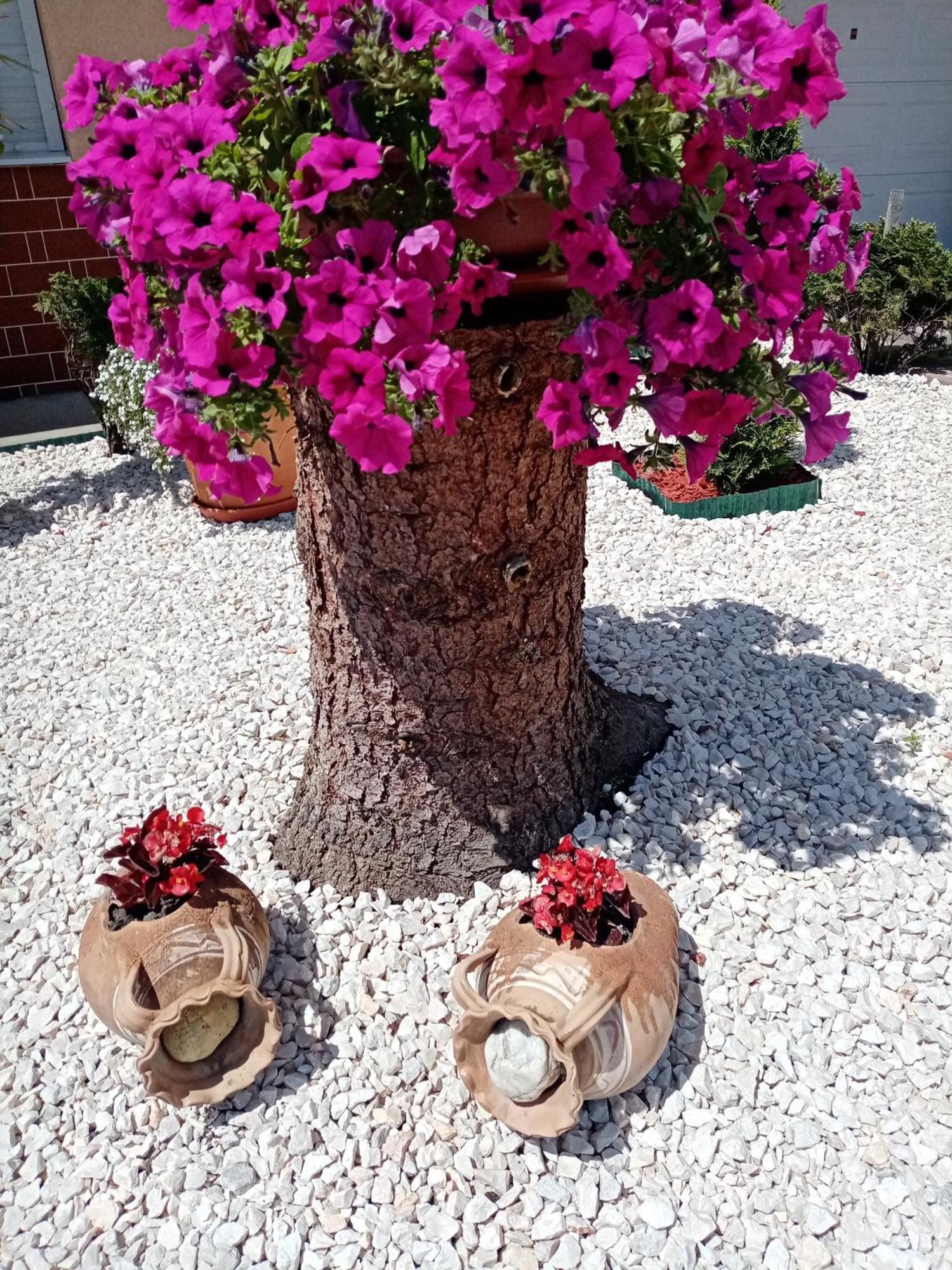 Margaret Apartman Egerszalok Luaran gambar
