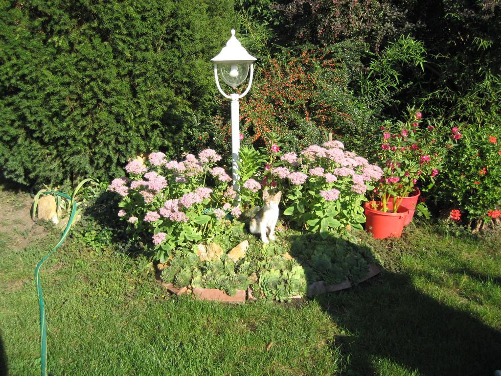 Margaret Apartman Egerszalok Luaran gambar